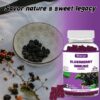 Elderberry Gummies – Image 10
