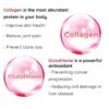 Glutathione Gummies – Image 6
